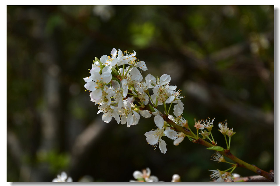 DSC_5832.jpg