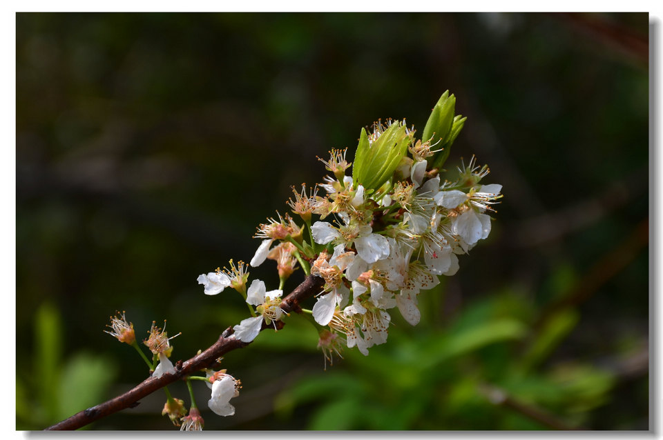 DSC_5841.jpg