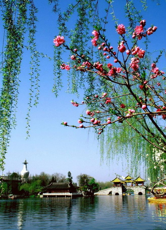 3f7f58fc9dd1e47e762c60e04ff32c08ee512d6053f92-KYUnOm_fw658.JPG