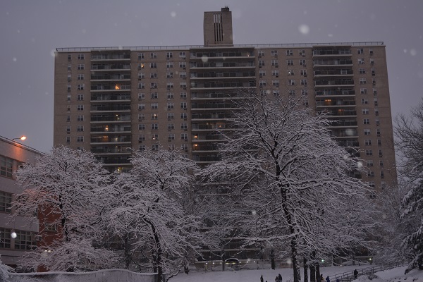 ѩsnow 158.jpg