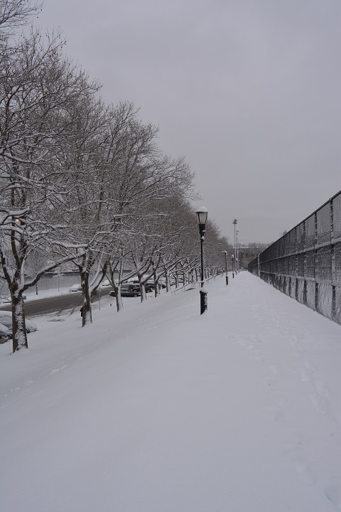 ѩsnow 099.jpg