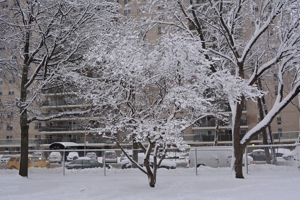 ѩsnow 101.jpg