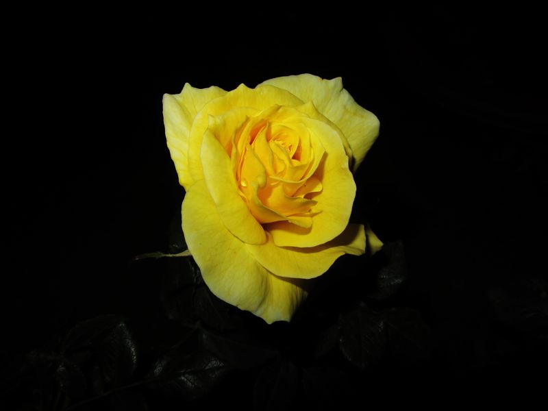 IMG_1074.jpg
