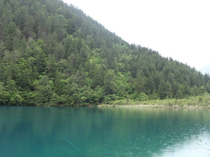 IMG_1121.jpg