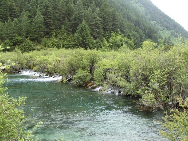 IMG_1120.jpg