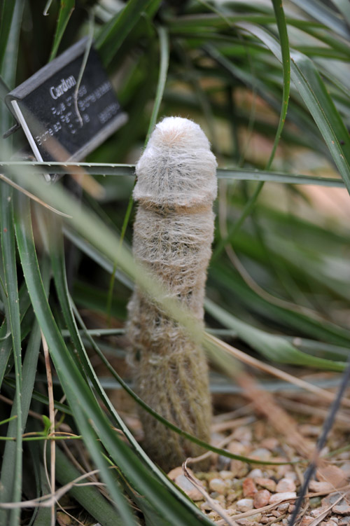 DSC_0759.jpg