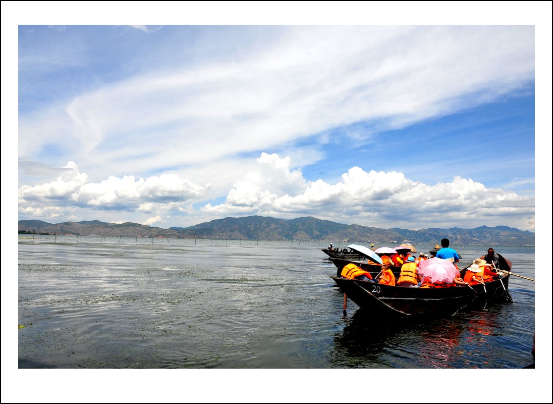 DSC_8569_conew1.jpg