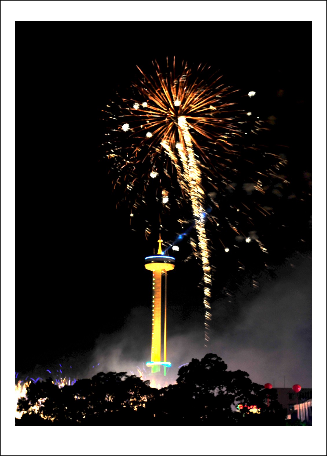 DSC_0221_conew1.jpg
