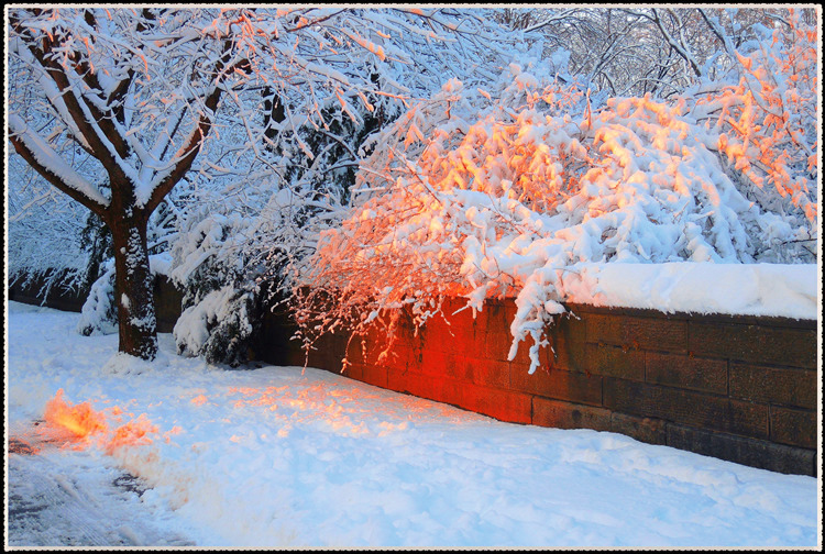 DSCN0133a_����.jpg