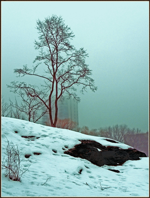 DSCN0376.jpg