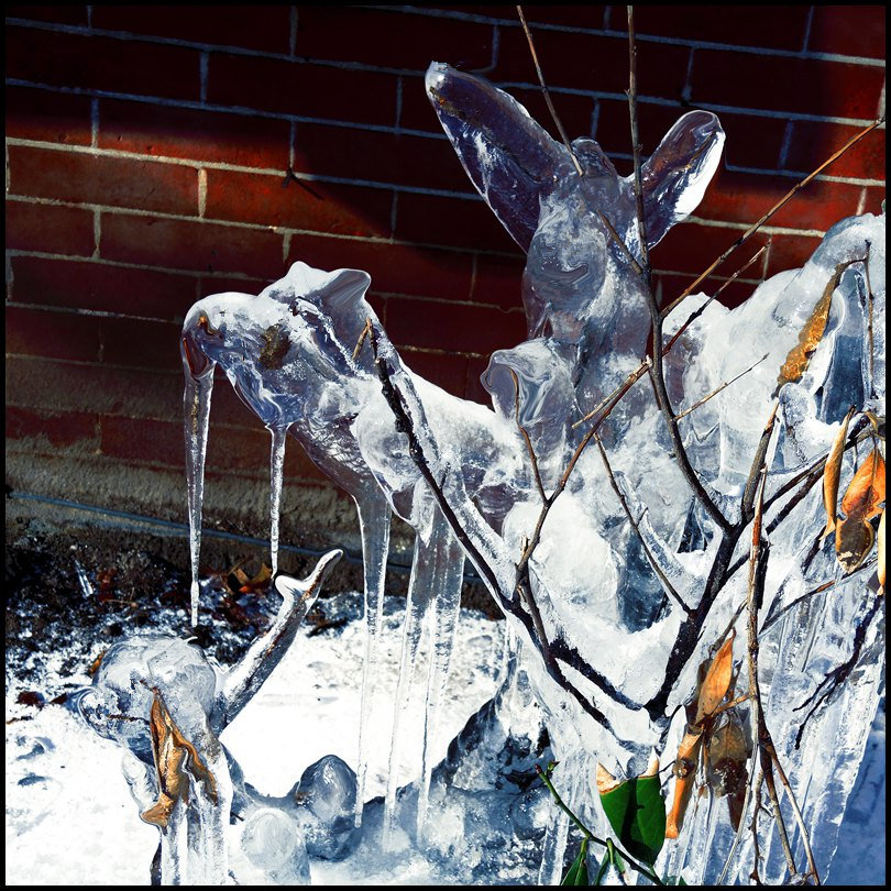 DSCN0007_����.jpg