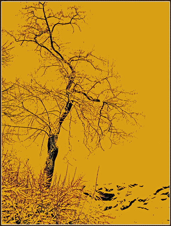 DSCN9827a.jpg