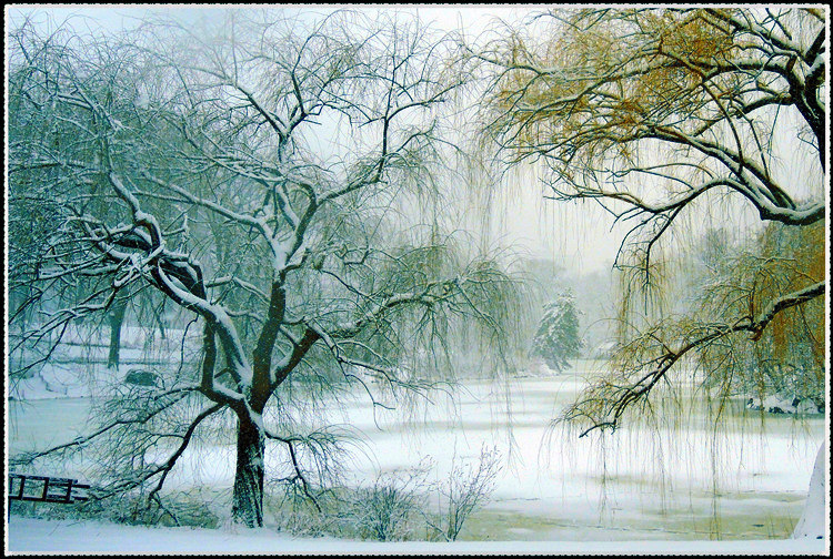 DSCN9866a.jpg
