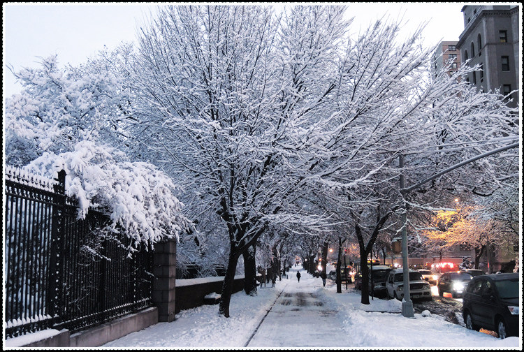 DSCN9985a.jpg