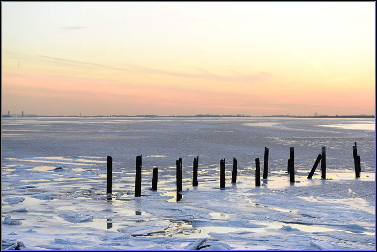 DSC_4423.jpg
