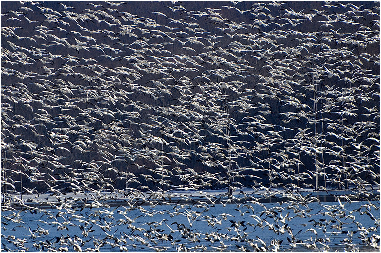 DSC_3653.jpg