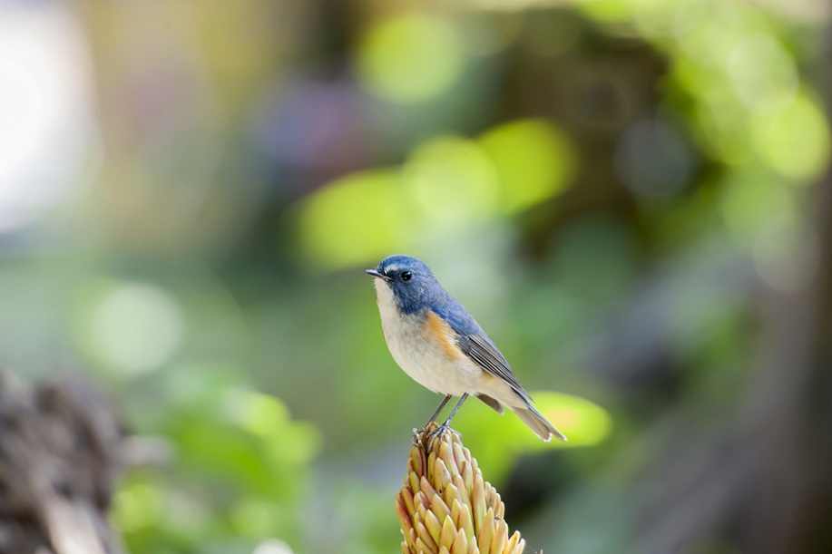 DSC_9099.jpg