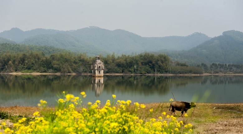 DSC_4955_conew1.jpg