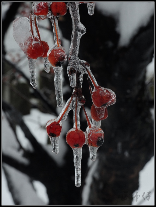 DSCN1159.jpg