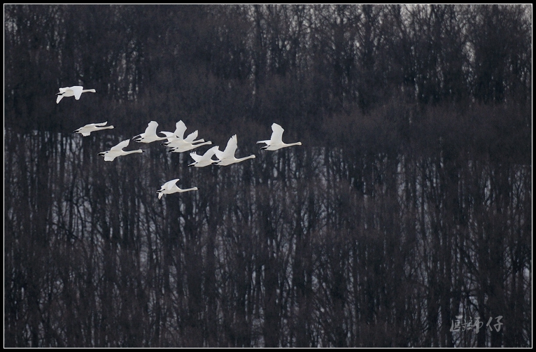 DSC_2983.jpg