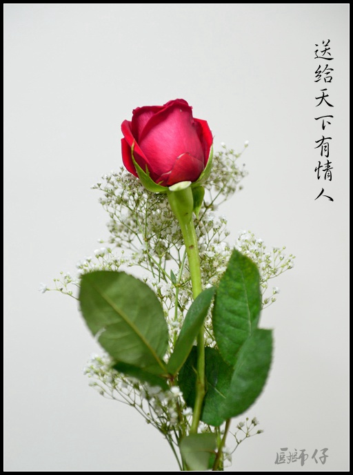 DSC_3488.jpg