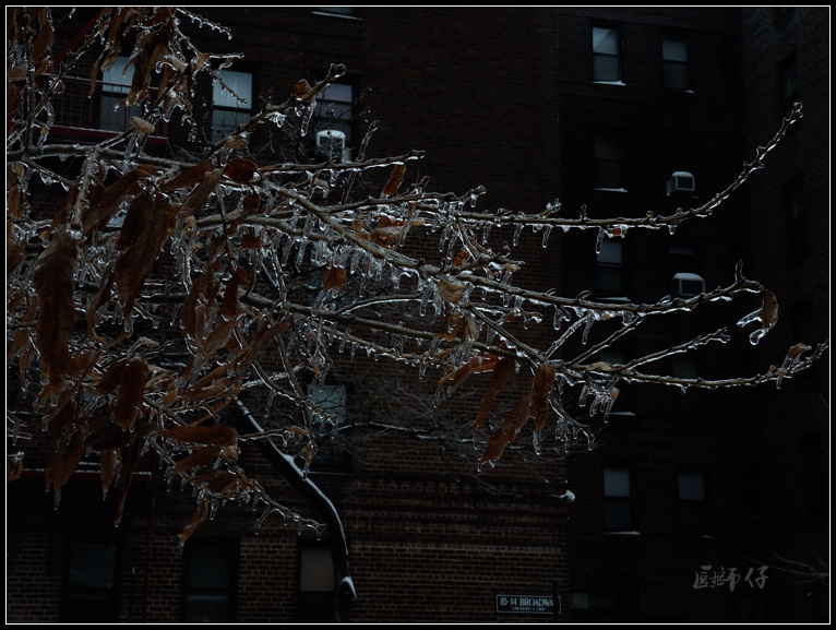 DSCN1137.jpg