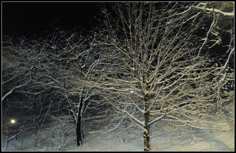 DSCN1030.jpg