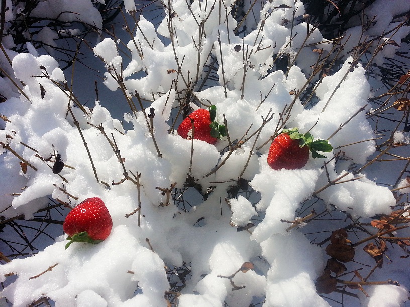 20140204_120803.jpg