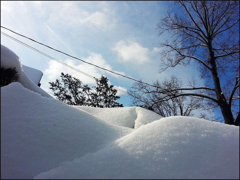 20140206_104238_conew1.jpg