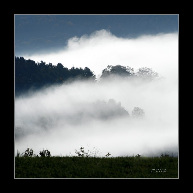 DSC_0439C.jpg