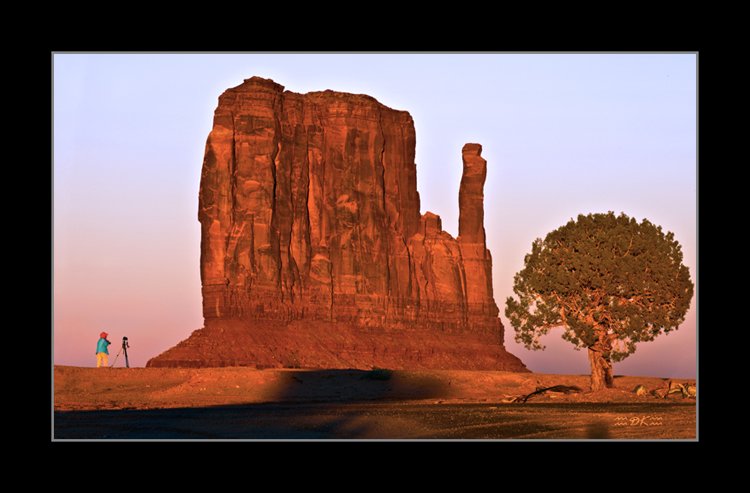 DSC_3203C1.jpg