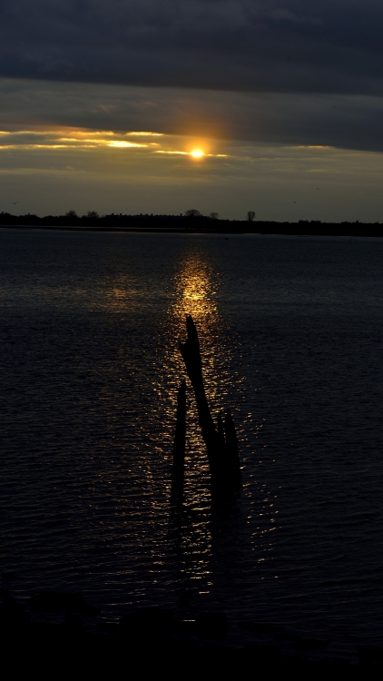 _DSC7466_01.JPG
