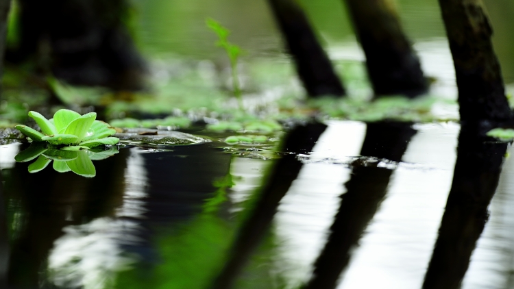 _DSC0607_01.JPG