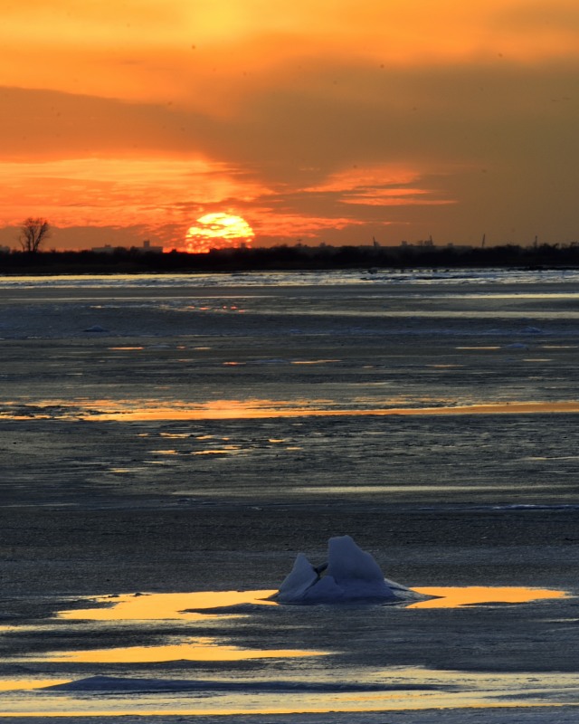 _DSC9835_01.JPG