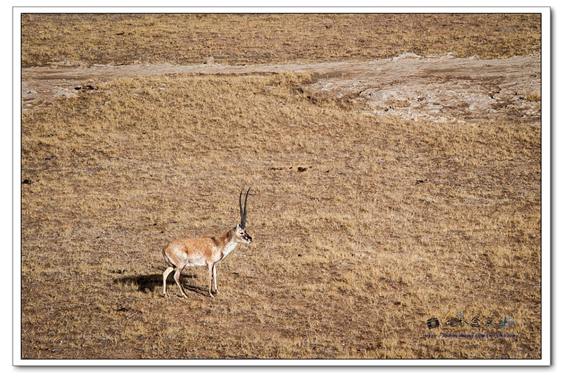 ��DSC_4641��Ϊ���ܶ���-3.jpg