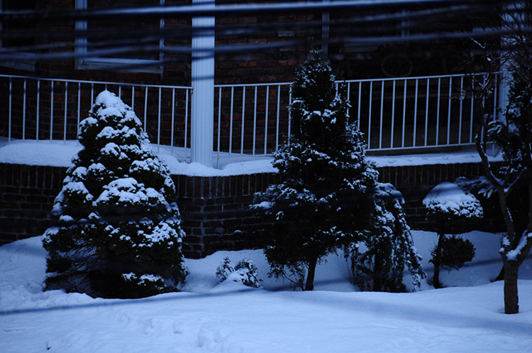 DSC_0177_����.jpg