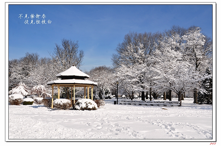 ѩ(2014)-2 190-1.jpg
