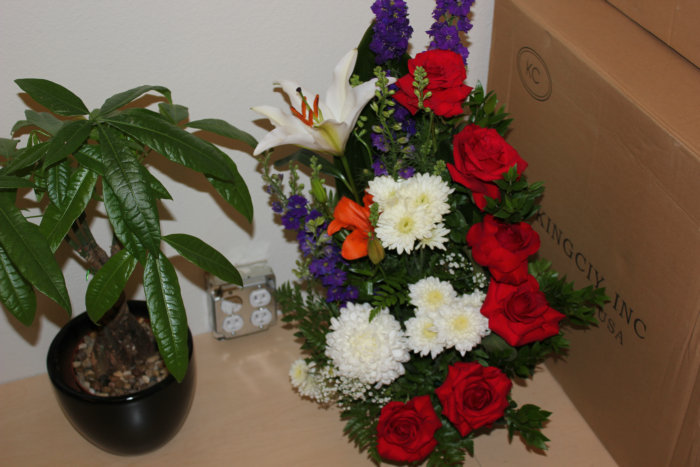 2012_07070158.JPG