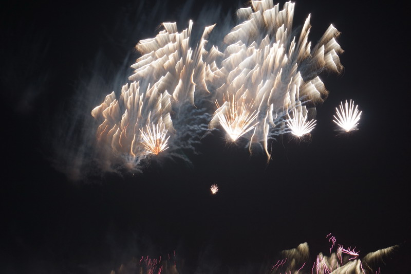 DSC08552.jpg