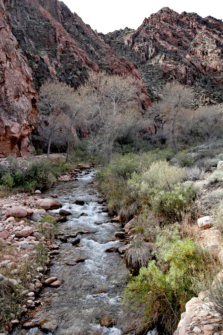 phrc012114_2003.jpg