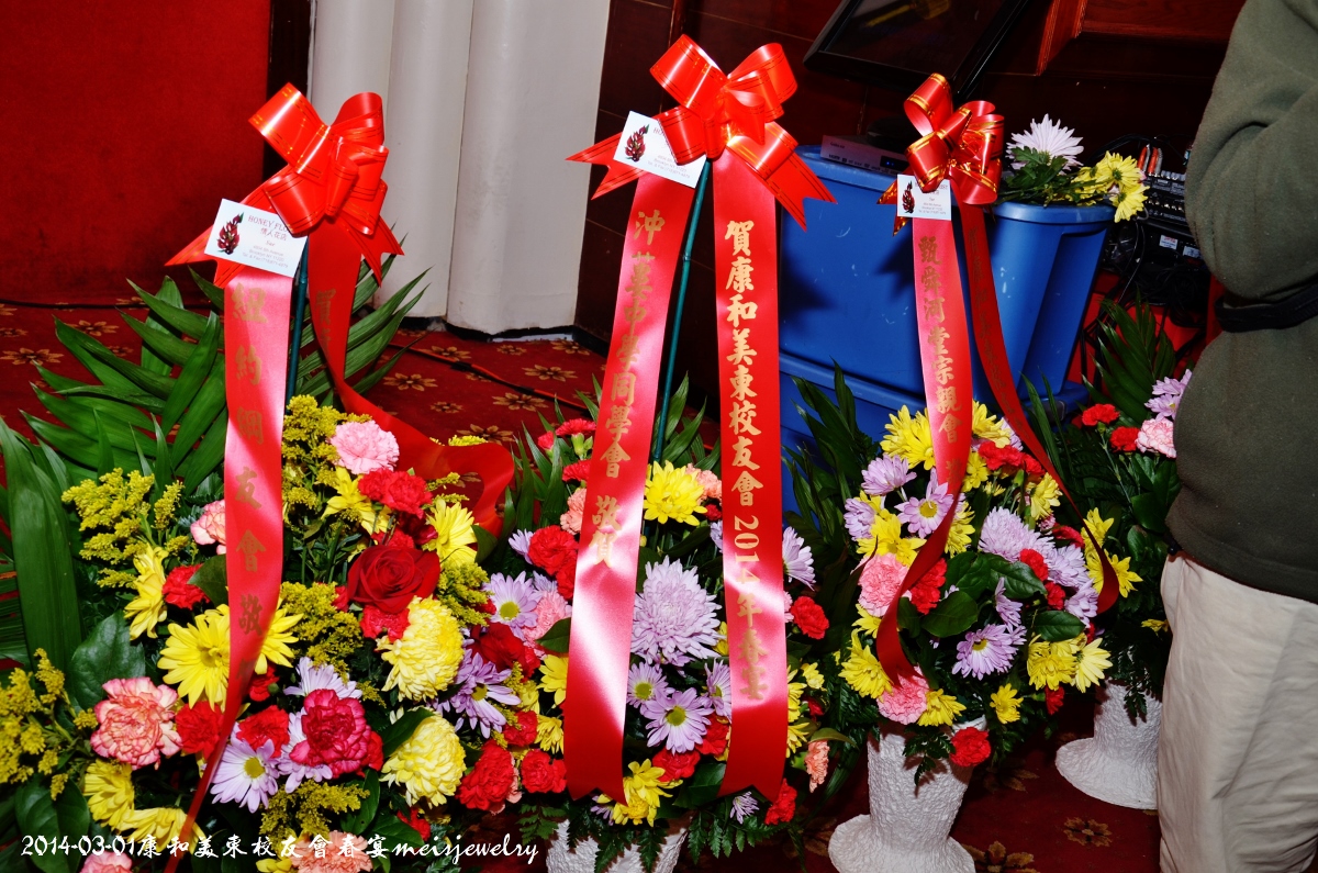 DSC_4650 (1200x795).jpg