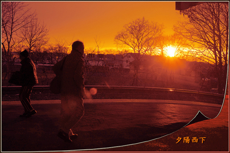 DSCN1181a.jpg