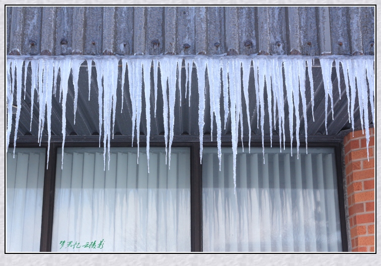 20140307 027_conew1.jpg