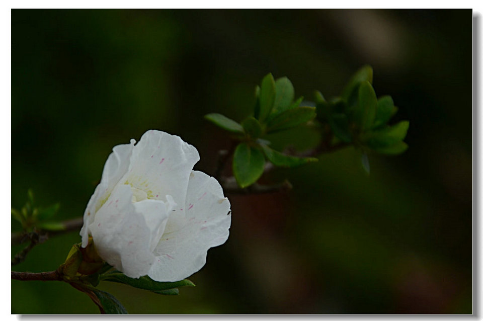DSC_9123.jpg