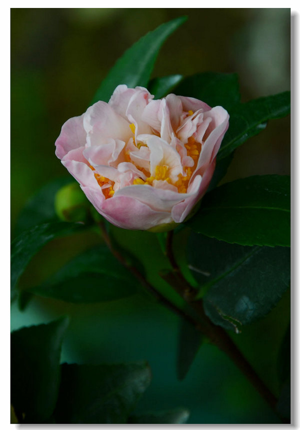 DSC_9089.jpg