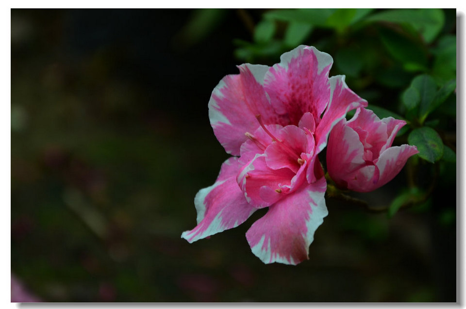 DSC_9068.jpg
