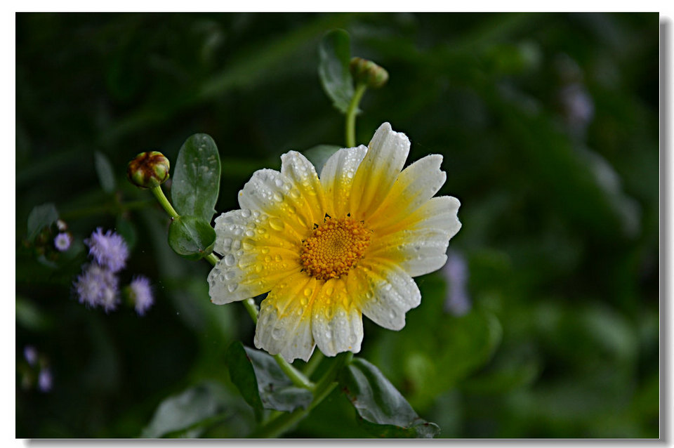 DSC_8819.jpg