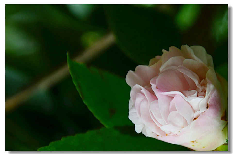 DSC_9083.jpg