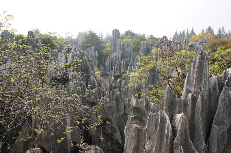 DSC03358_.jpg