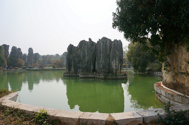 DSC03381_.jpg